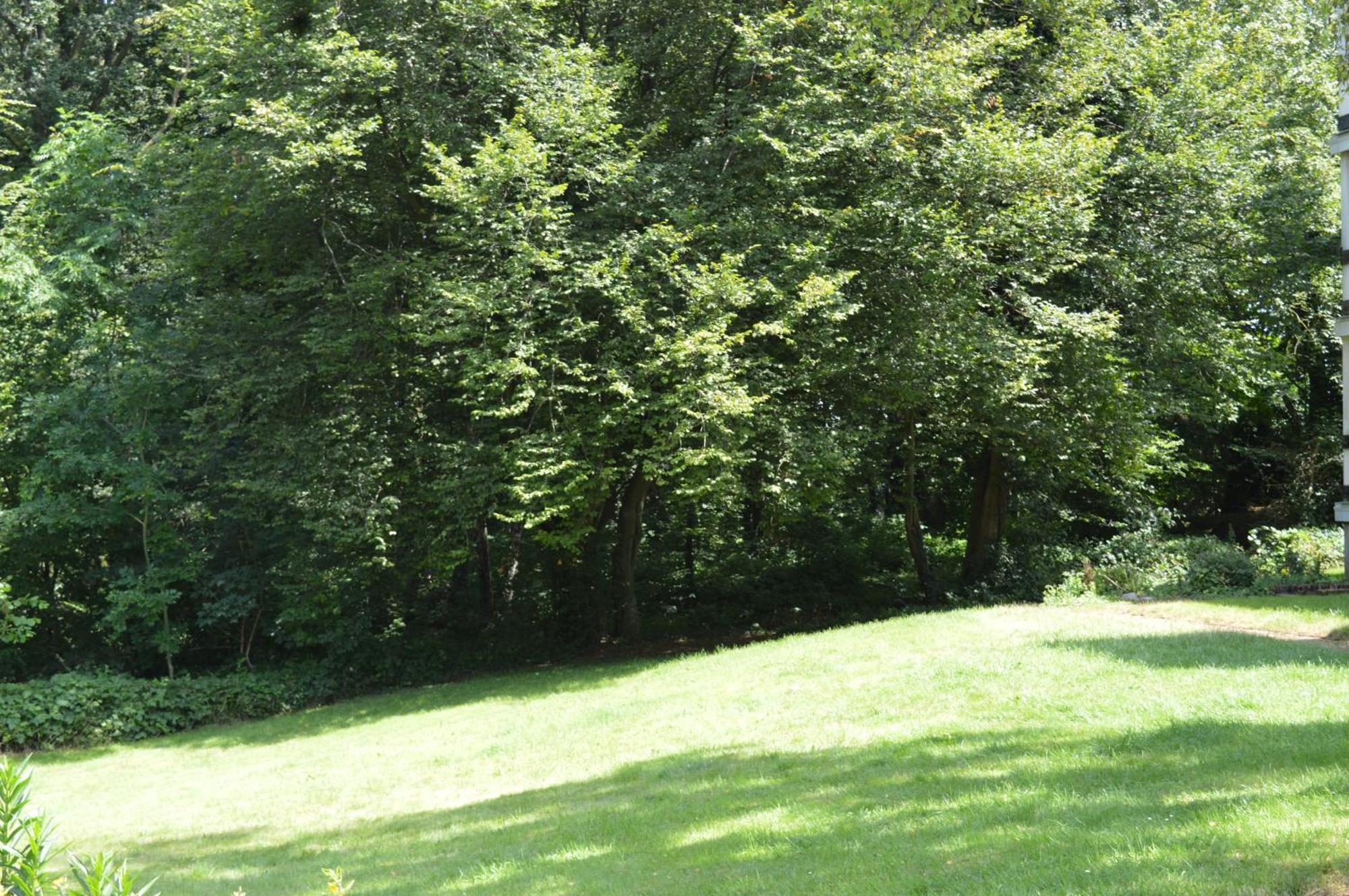 Calme Et Verdure 9 Kelmis Exterior foto