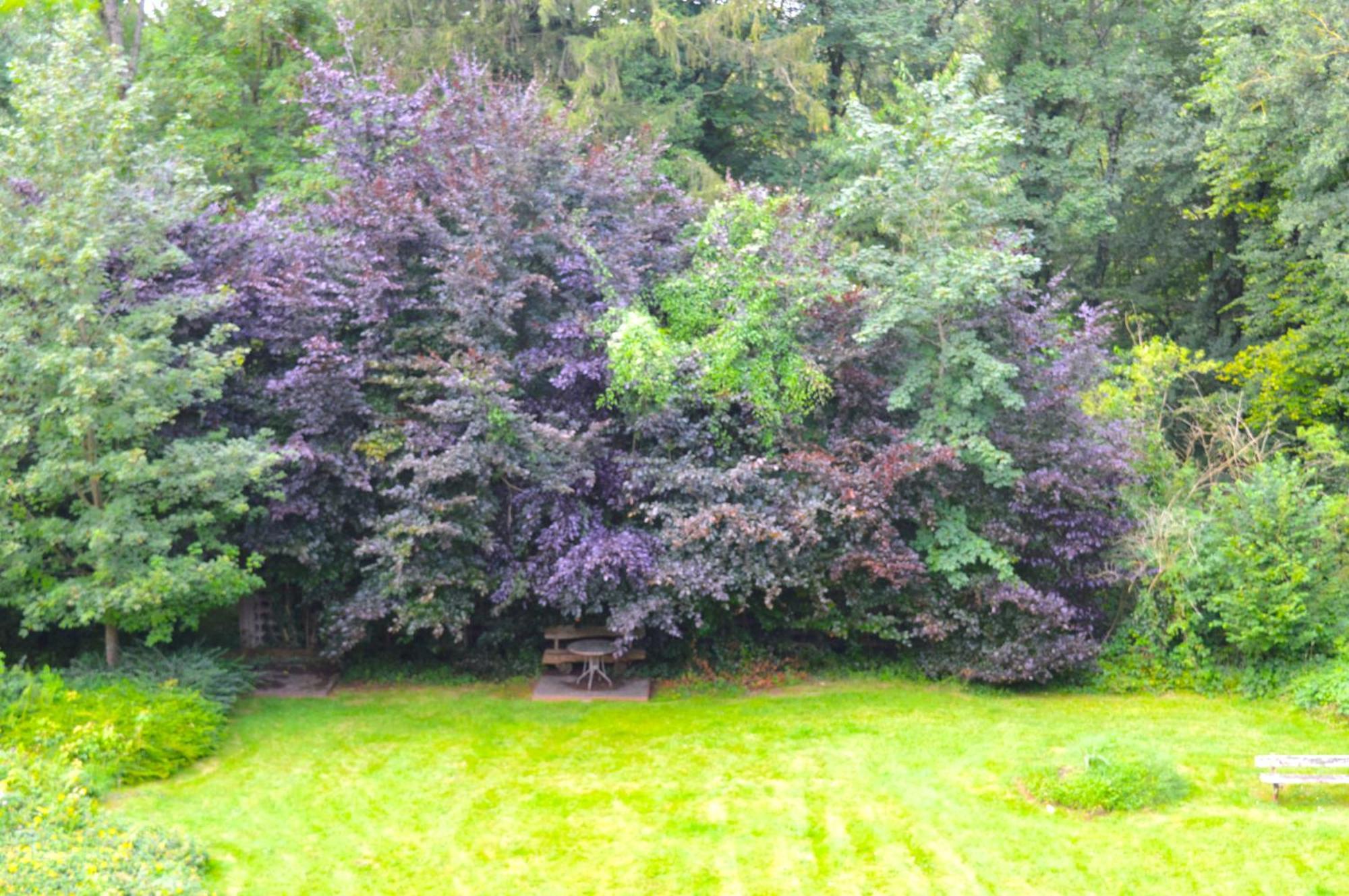 Calme Et Verdure 9 Kelmis Exterior foto